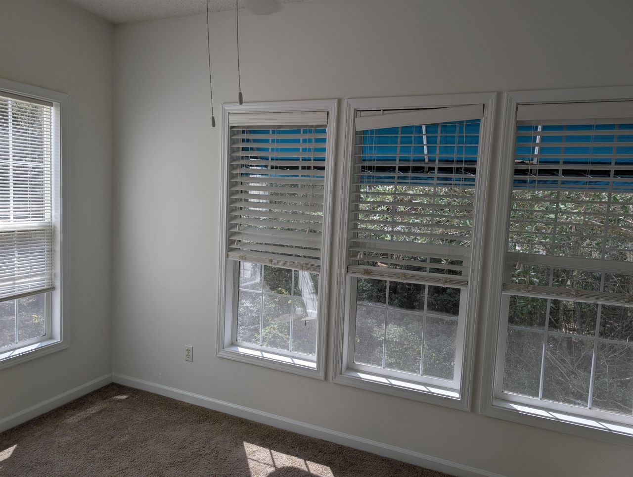 9734 Leyland Dr. Photo 26