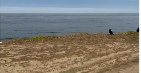 Marinero 065-191-050 Ave, Half Moon Bay, CA 94019 Photo