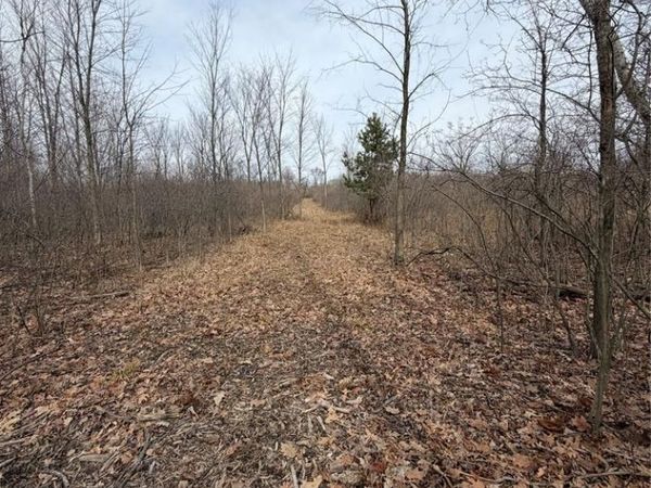 15193 Jeddo Road, Lynn Twp, MI 48416