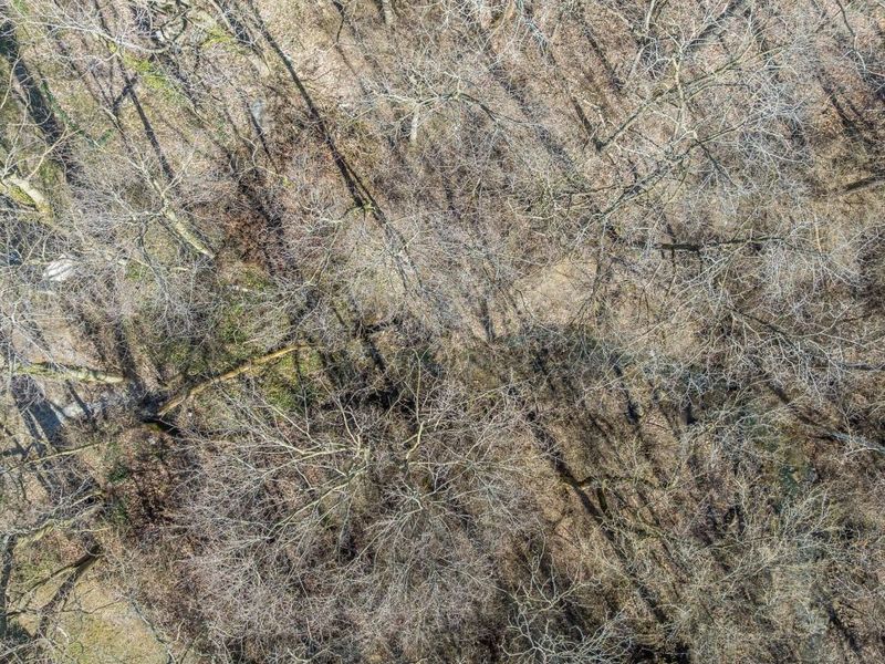 359 E Main Street, Piqua, OH 45356 Photo 35