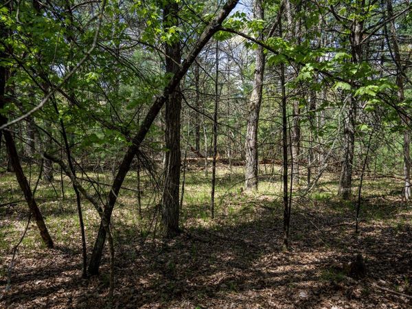 Lot 39 S Badger Lane, Arkdale, WI 54613