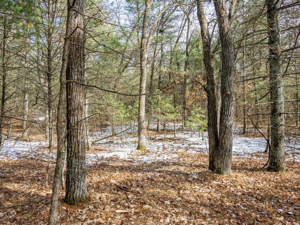 Lot 39 S Badger Lane, Arkdale, WI 54613