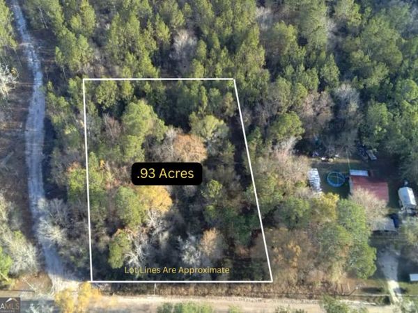 00 Robin Lane, Nahunta, GA 31553