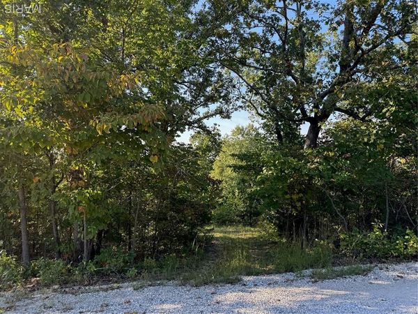 0 Lot 6b Lakeview Drive , Perryville, MO 63775