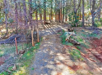 5404 Forbestown Rd, Forbestown, CA 95941 Photo