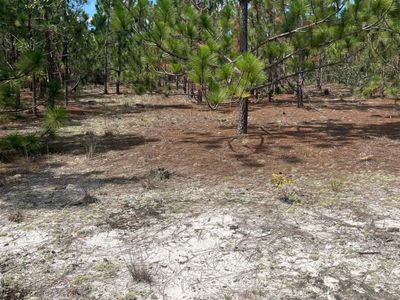 PPF 14 Payne Pond Road, Westville, SC 29175