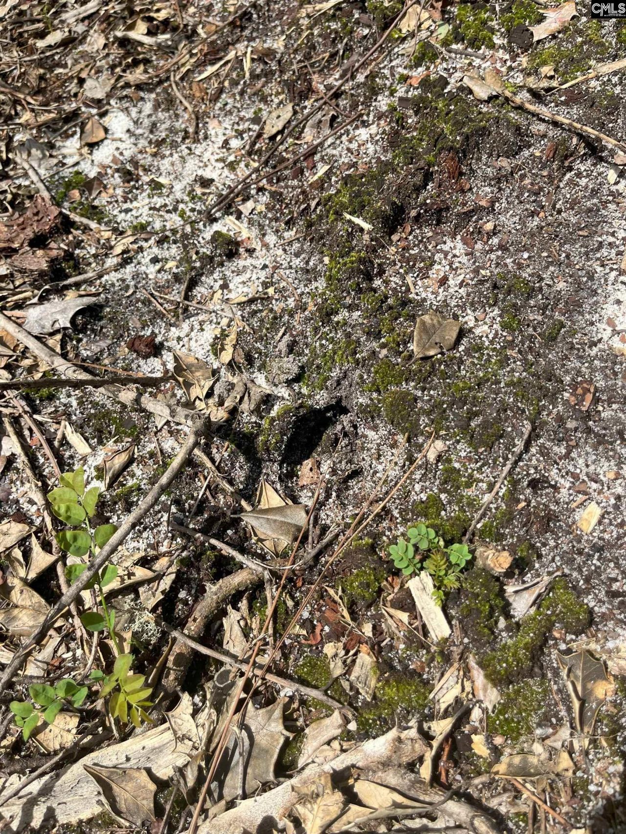 Ppf 14 Payne Pond Road Photo 10