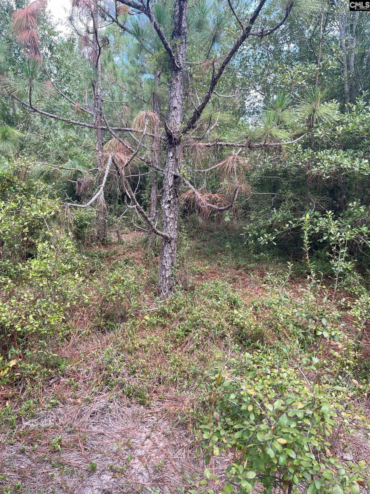 Ppf 14 Payne Pond Road Photo 11