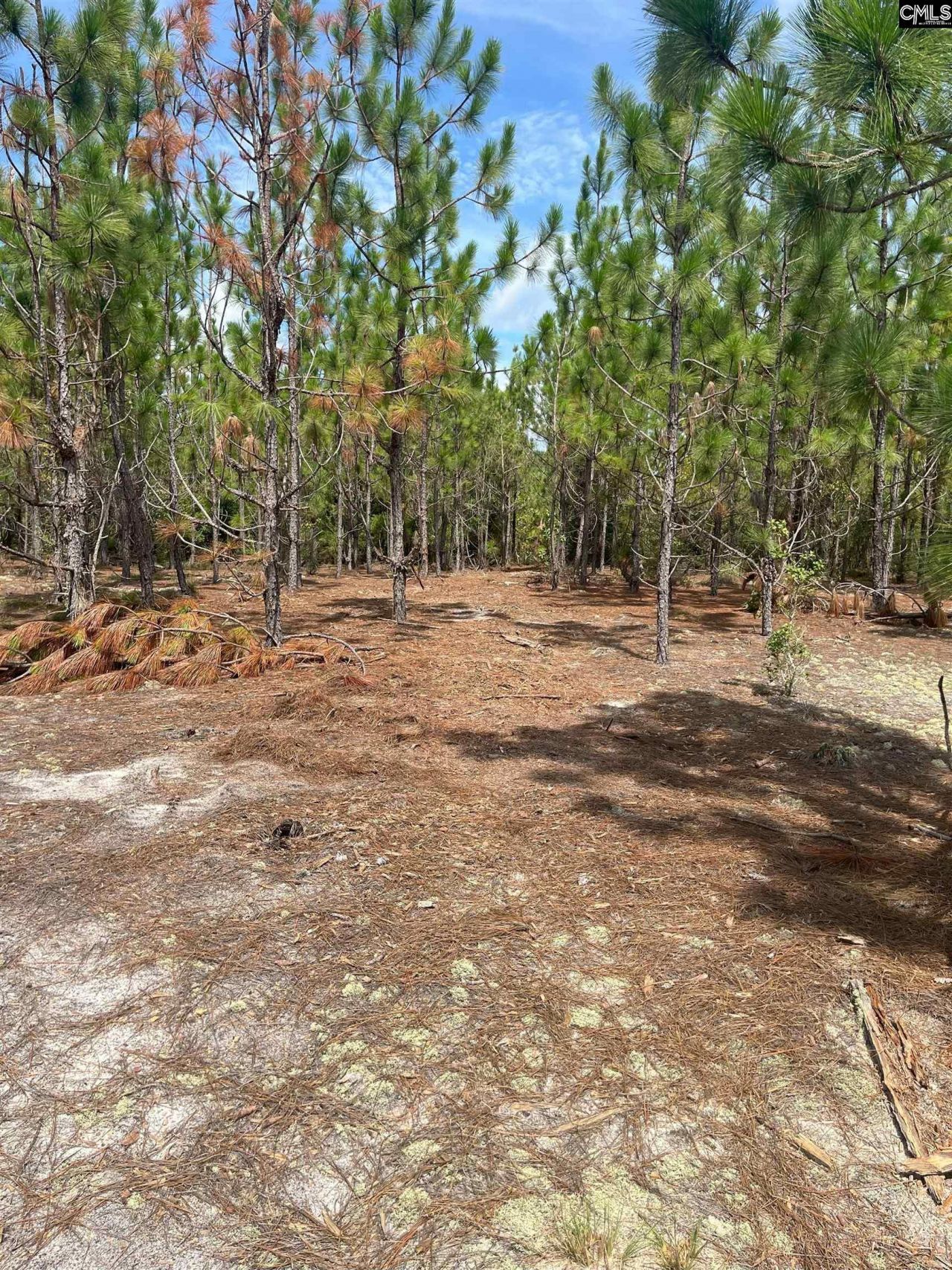 Ppf 14 Payne Pond Road Photo 7