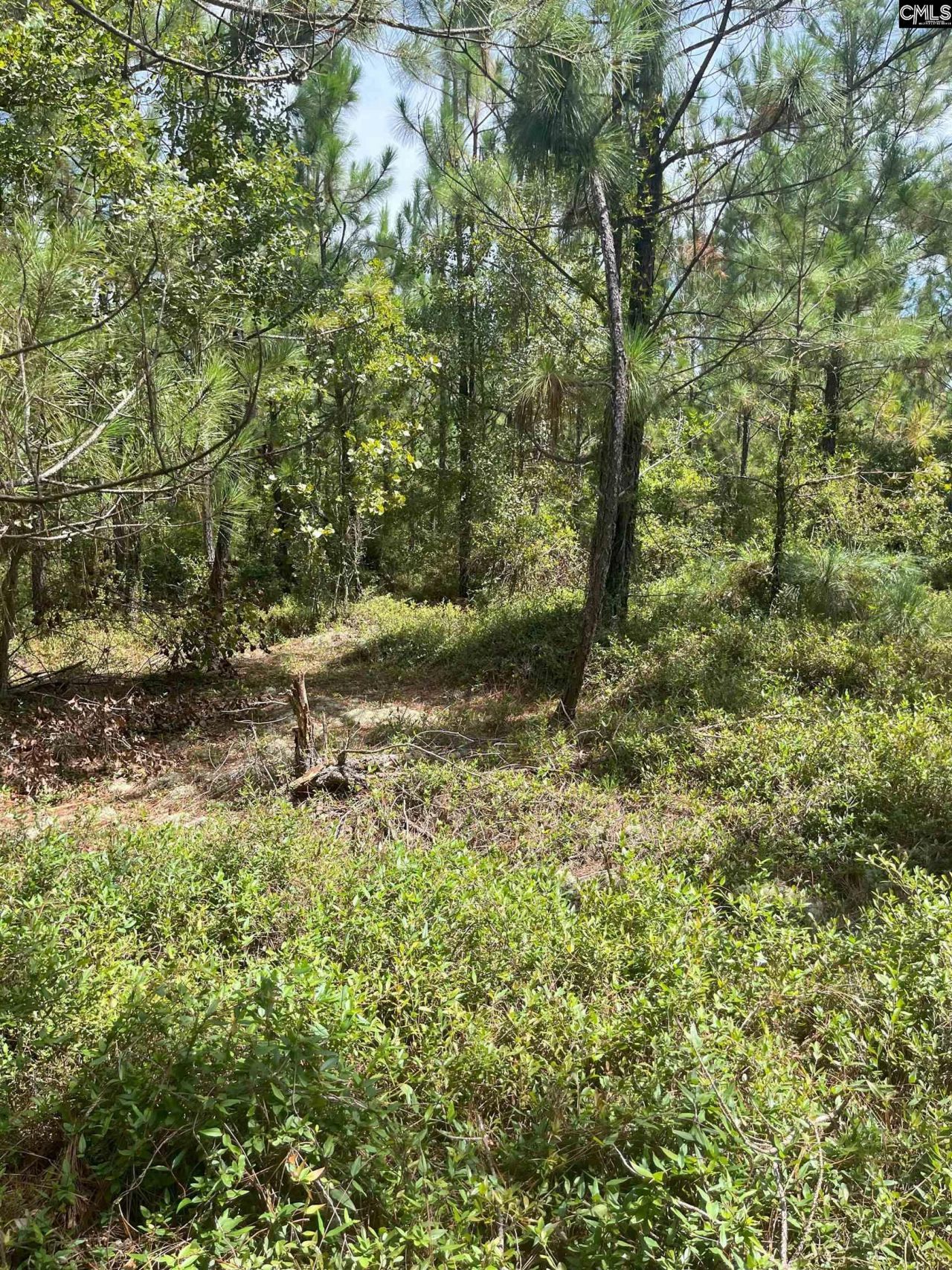 Ppf 14 Payne Pond Road Photo 9