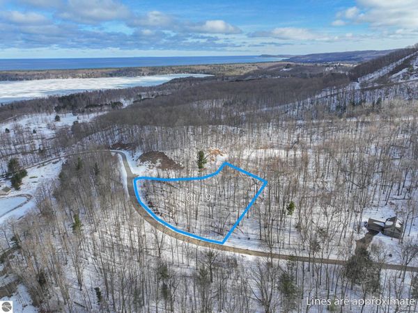 19 Club Drive S, Cedar, MI 49621