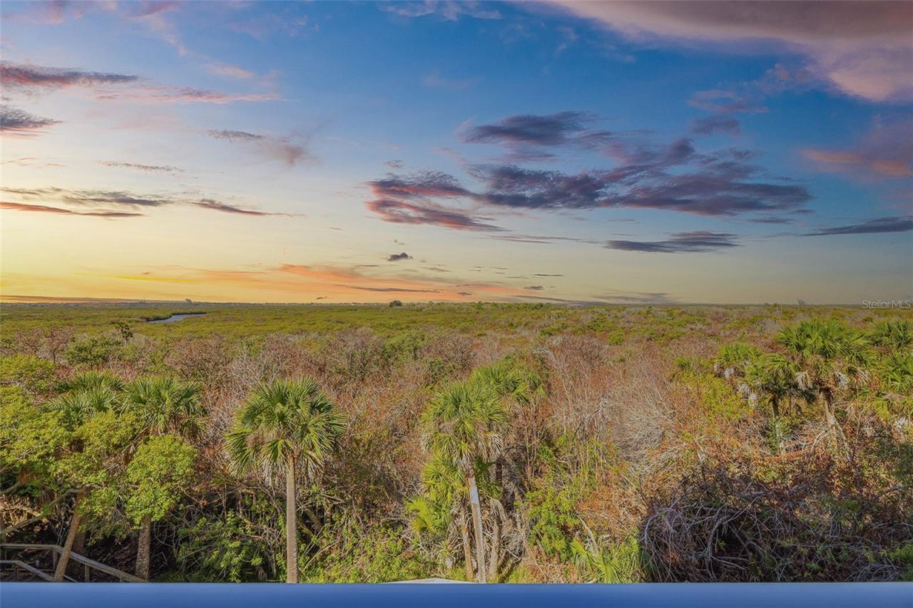 5300 S Atlantic Avenue, Unit 9-401, New Smyrna Beach, FL 32169 Photo