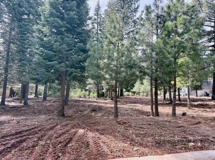 314 Alpine Fir Road, Lot #CW, Lake Almanor, CA 96137 Photo