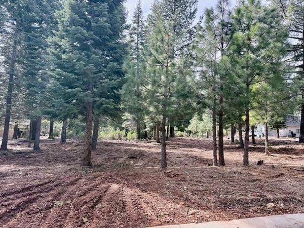 314 Alpine Fir Road, Unit CW, Lake Almanor, CA 96137
