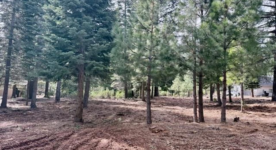 314 Alpine Fir Road, Lot #CW, Lake Almanor, CA 96137 Photo