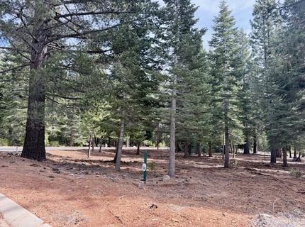 314 Alpine Fir Road, Lot #CW, Lake Almanor, CA 96137 Photo