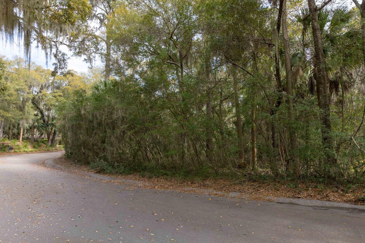 2715 Gnarled Pine Photo 2