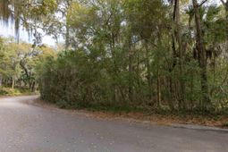 2715 Gnarled Pine photo 4