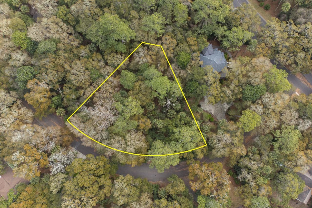 2715 Gnarled Pine Photo 3