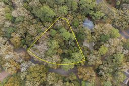 2715 Gnarled Pine photo 4