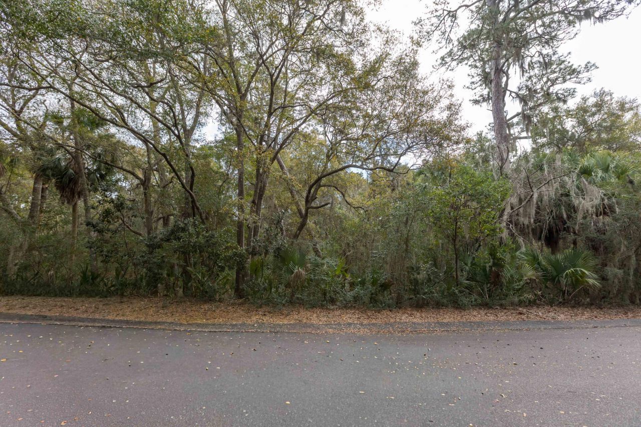 2715 Gnarled Pine Photo 5