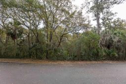 2715 Gnarled Pine photo 4