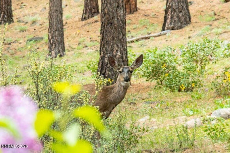 224 S Earlham Court, Reno, NV 89511 Photo