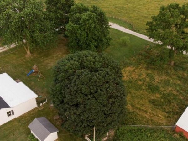 5579 State Hwy Ab, Fair Grove, MO 65648