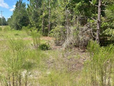 PPF 17 Payne Pond Road, Westville, SC 29175