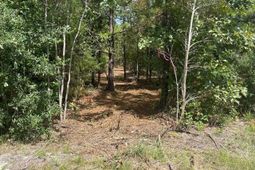 Ppf 17 Payne Pond Road photo 4