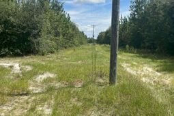 Ppf 17 Payne Pond Road photo 4