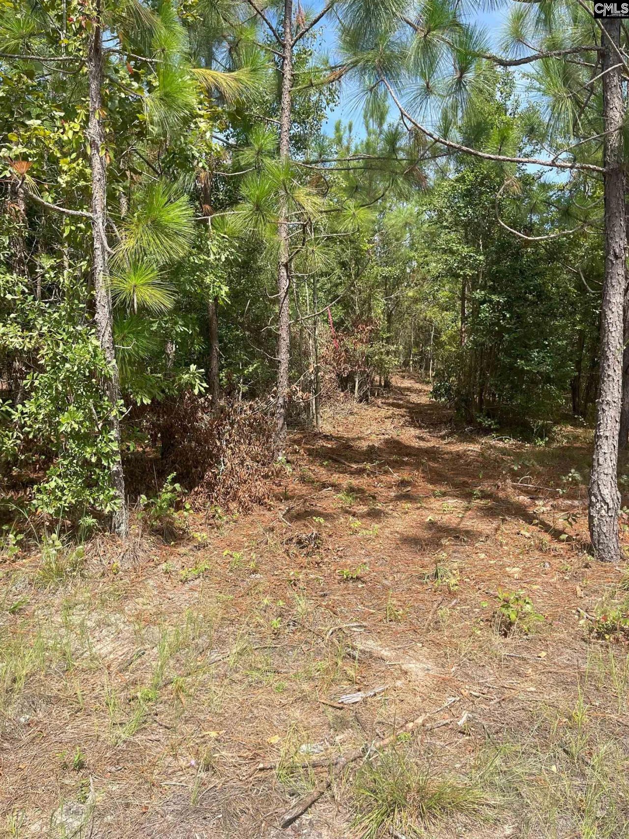 Ppf 17 Payne Pond Road Photo 5