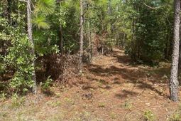 Ppf 17 Payne Pond Road photo 4