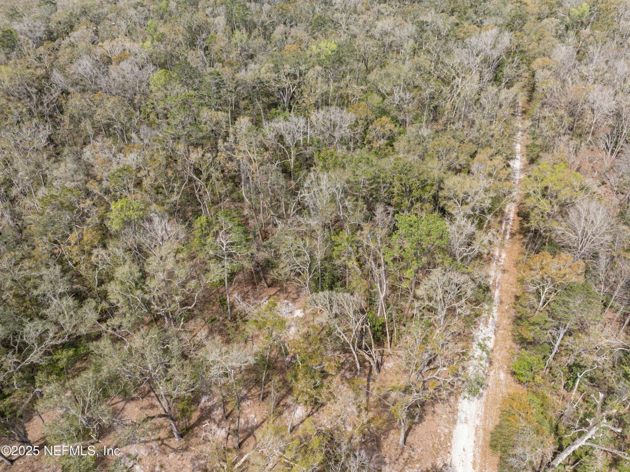 0 65th Place A, Branford, FL 32008 Photo