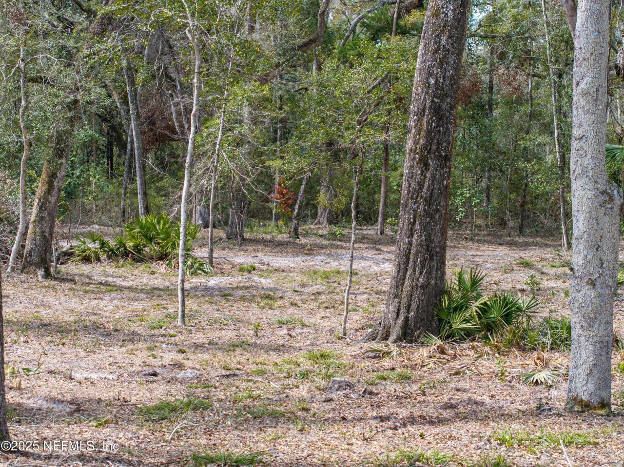 0 65th Place A, Branford, FL 32008 Photo