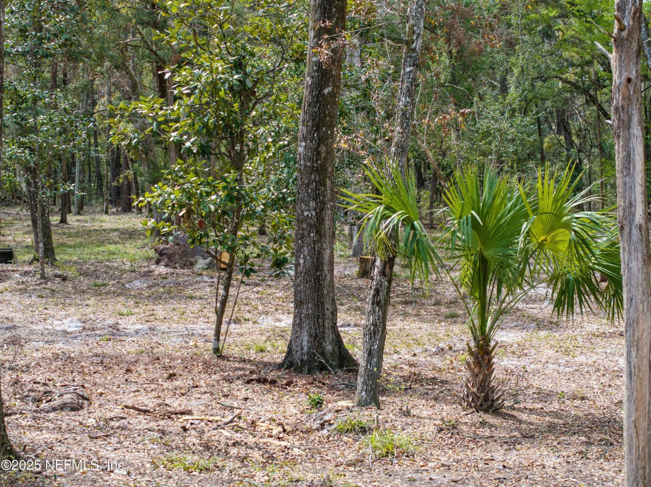 0 65th Place A, Branford, FL 32008 Photo