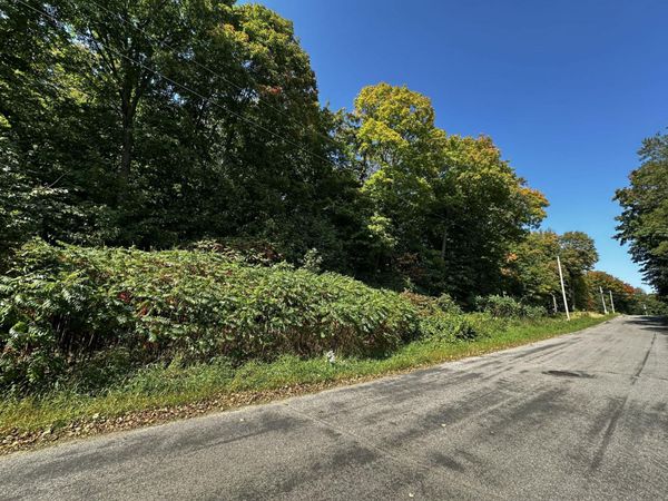 Lots 120 & 121 Earle Brown Drive, Garrison, MN 56450
