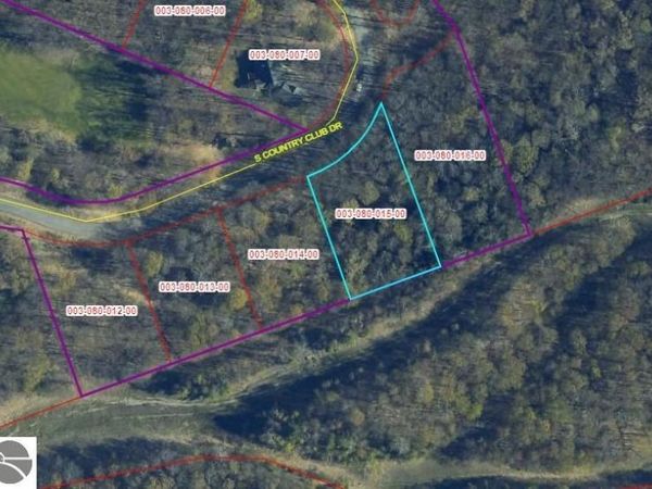 Club Drive S, Cedar, MI 49621