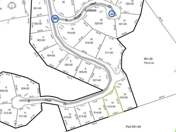 15 Club Drive S, Cedar, MI 49621