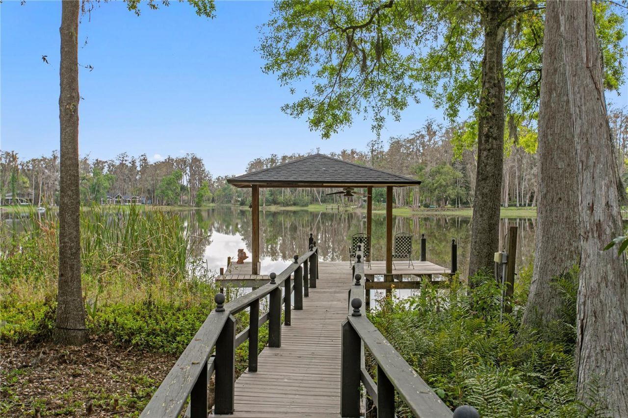 3632 Little Road, Lutz, FL 33548 Photo