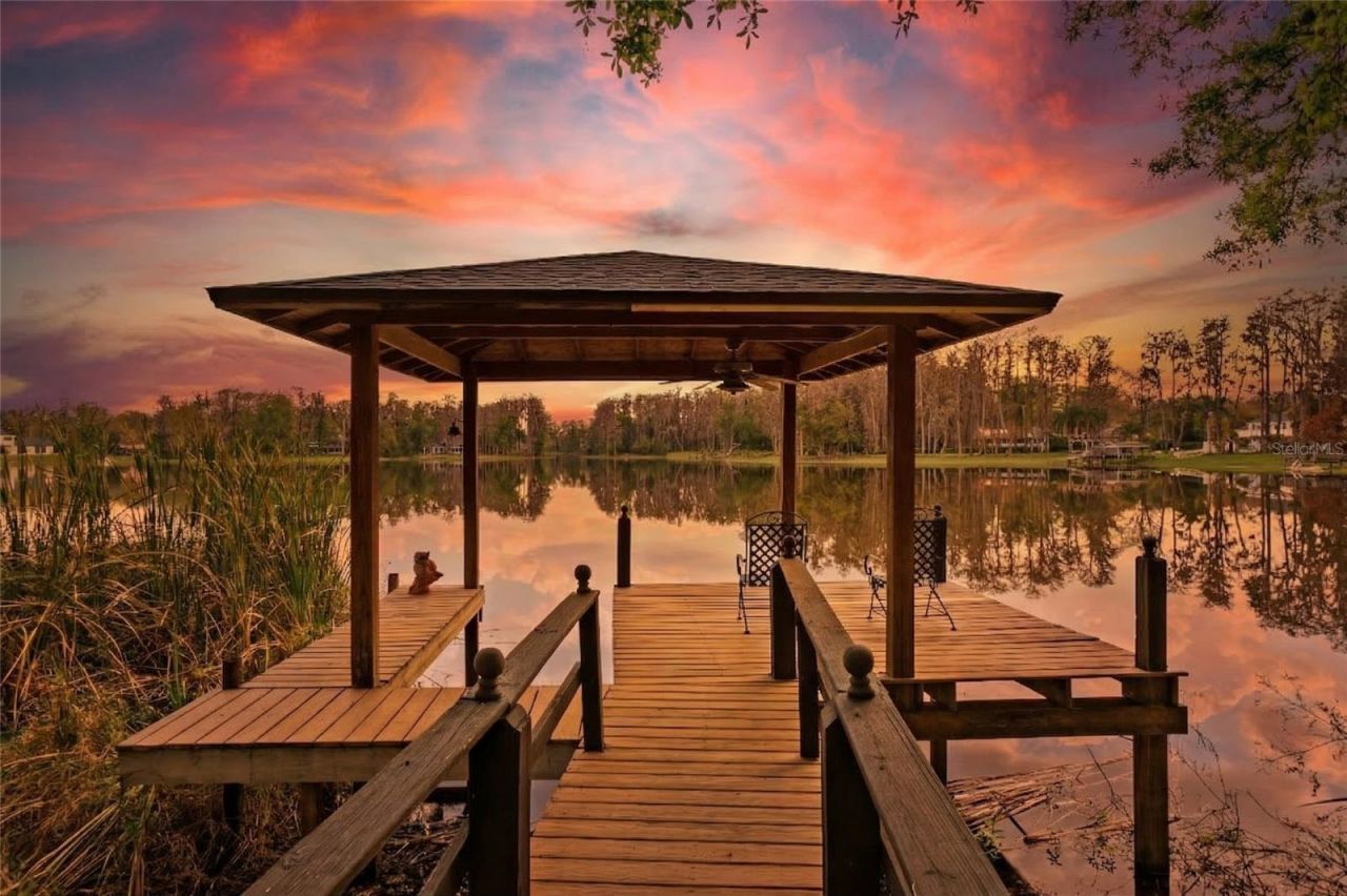 3632 Little Road, Lutz, FL 33548 Photo