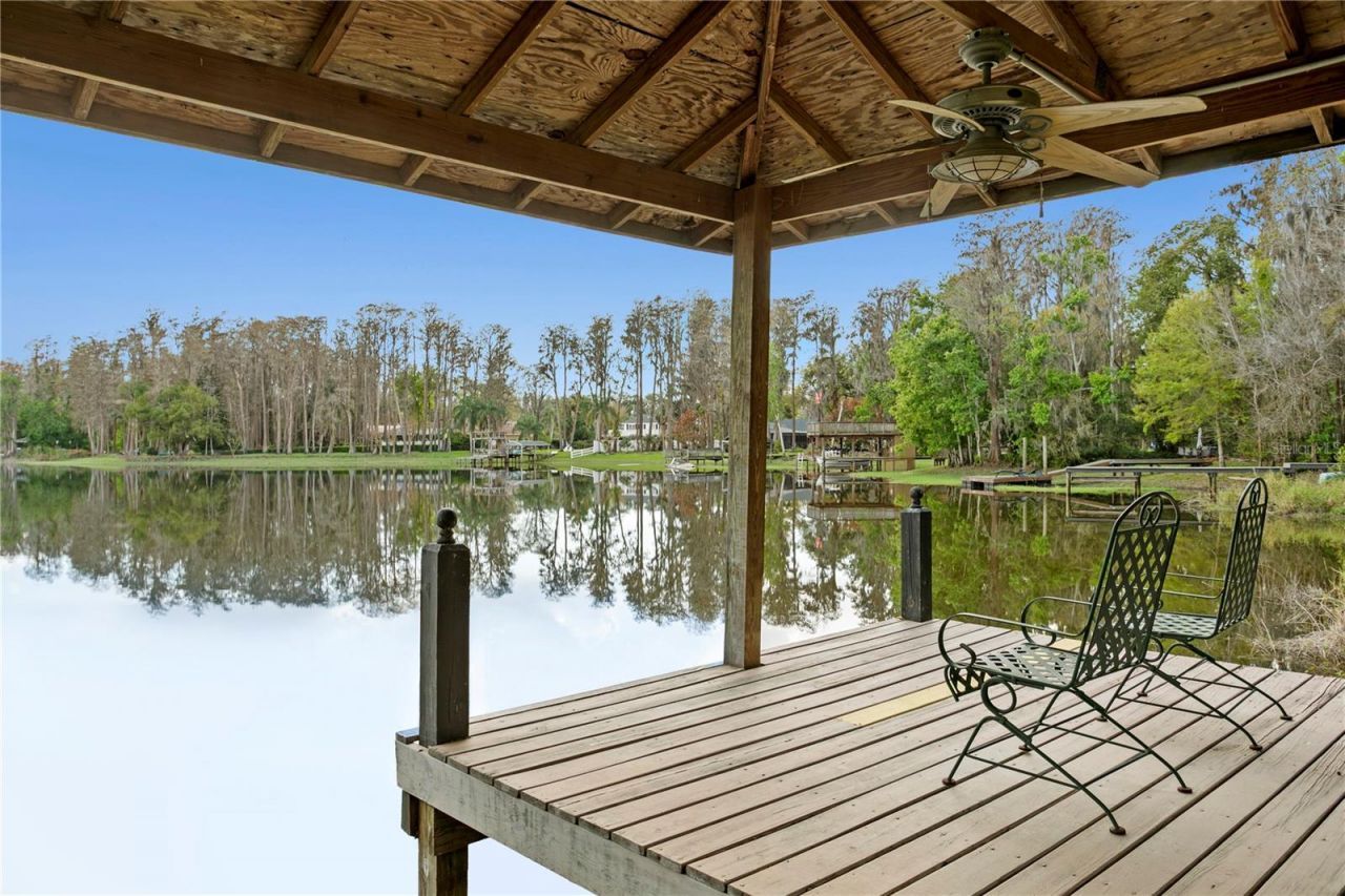 3632 Little Road, Lutz, FL 33548 Photo