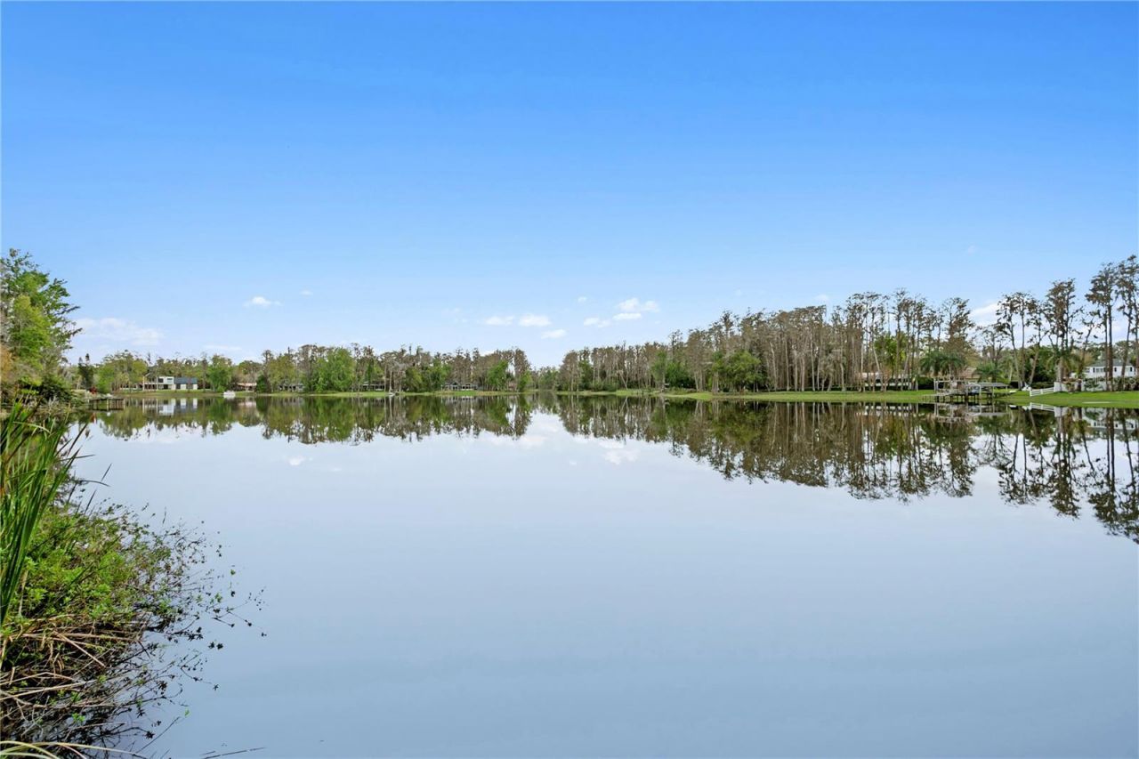 3632 Little Road, Lutz, FL 33548 Photo