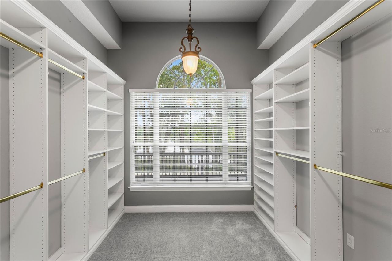 3632 Little Road, Lutz, FL 33548 Photo