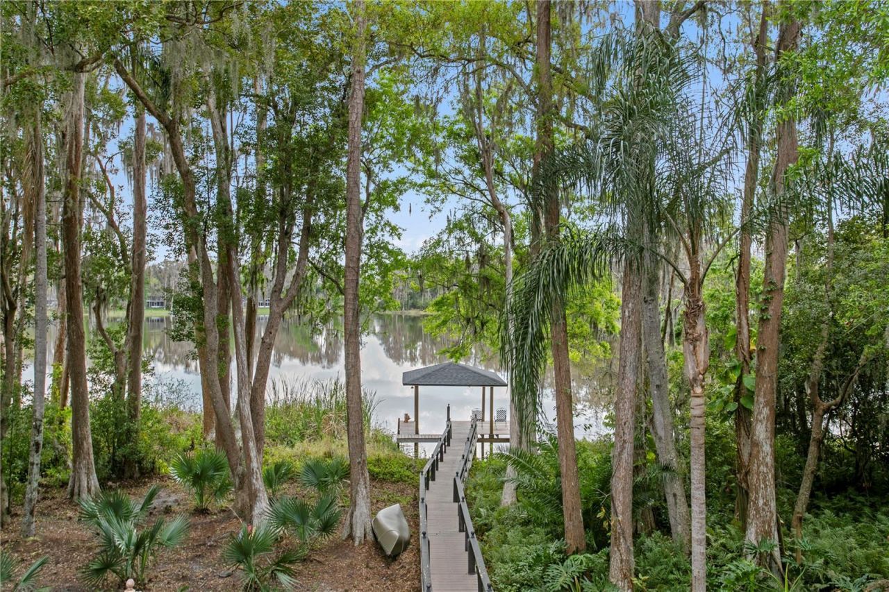 3632 Little Road, Lutz, FL 33548 Photo