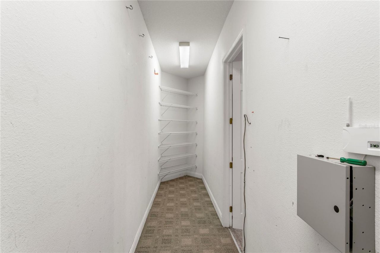 3632 Little Road, Lutz, FL 33548 Photo