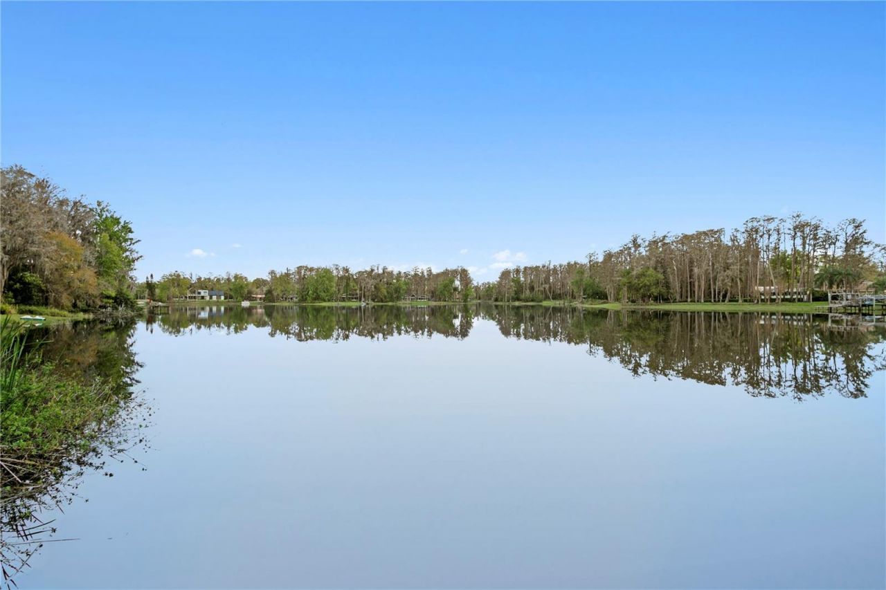 3632 Little Road, Lutz, FL 33548 Photo