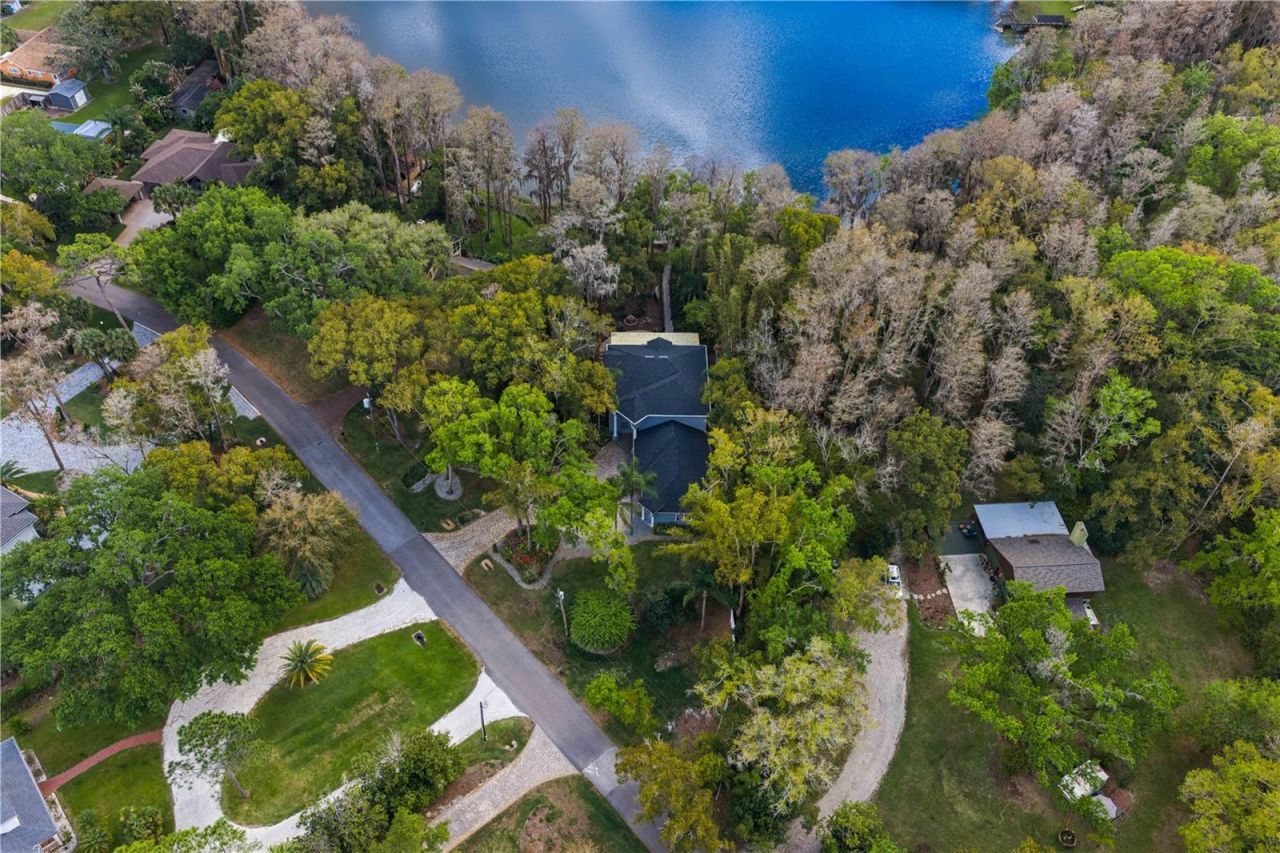 3632 Little Road, Lutz, FL 33548 Photo