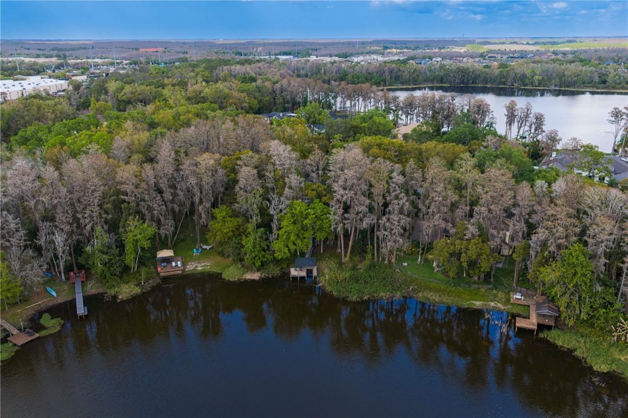 3632 Little Road, Lutz, FL 33548 Photo