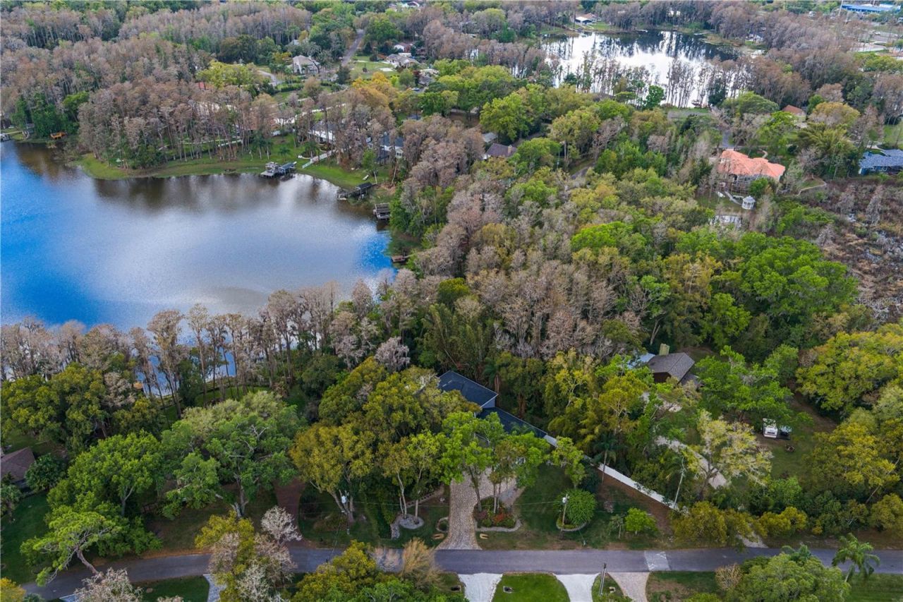 3632 Little Road, Lutz, FL 33548 Photo